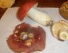 russula_xerampelina_1_t1_1.jpg