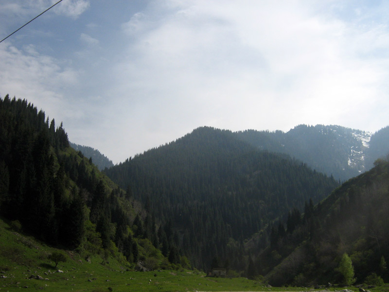 17.05.2010-037.jpg